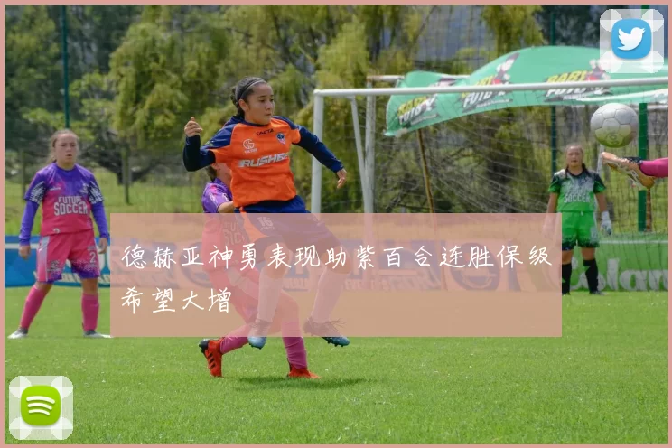 德赫亚神勇表现助紫百合连胜保级希望大增