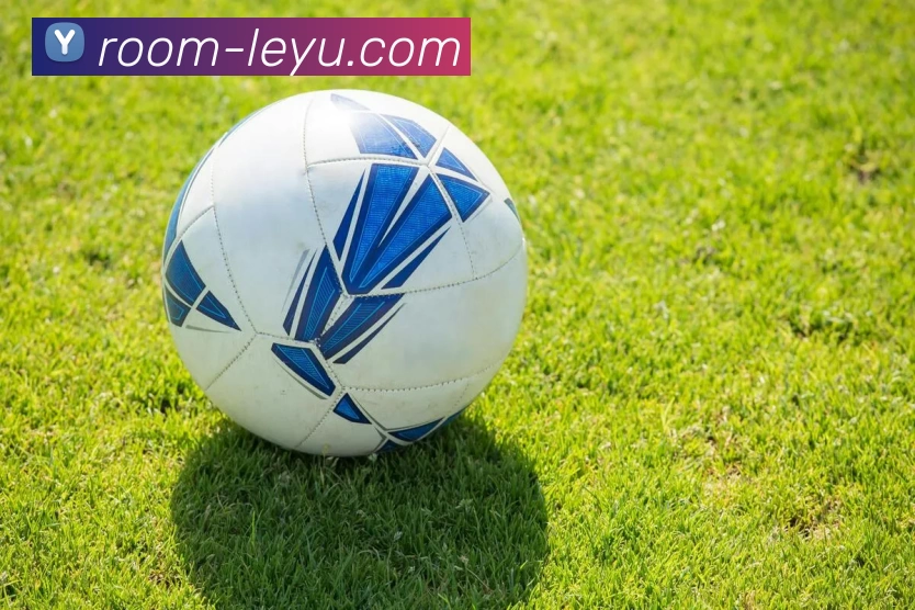 乐鱼体育品牌故事